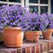 10PCS Artificial Flower Shrubs – UV-Resistant Faux Plastic Bushes for Indoor & Outdoor Decor (Purple)